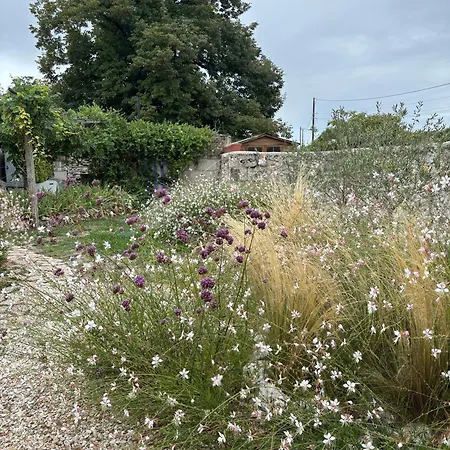 Vakantiehuis Les Nenuphars - Dordogne, Riberac Saint-Martial-Viveyrol